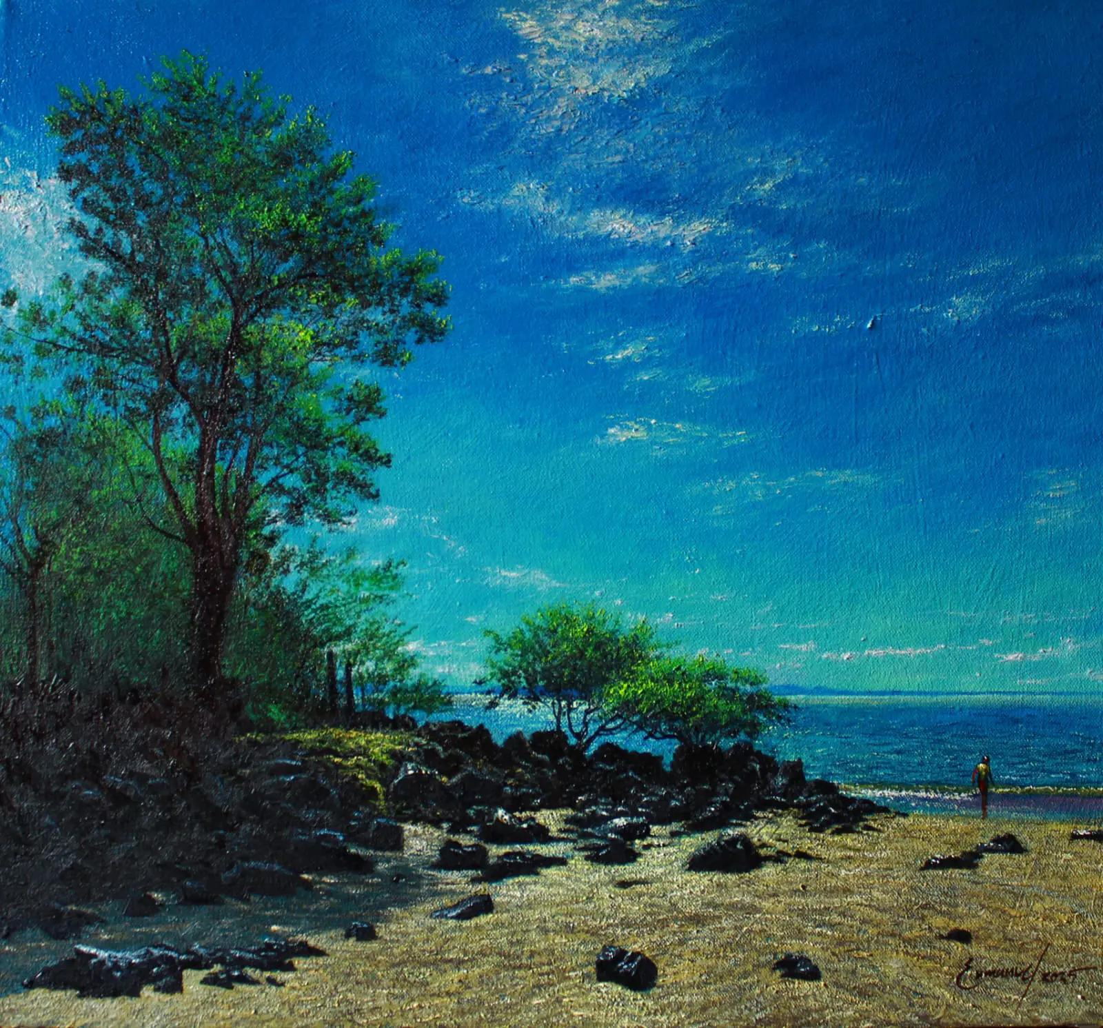 Playa el zapote Honduras Enmanuel Membreño artista hondureño Arte Naturaleza Retratos Paisajes bodegones